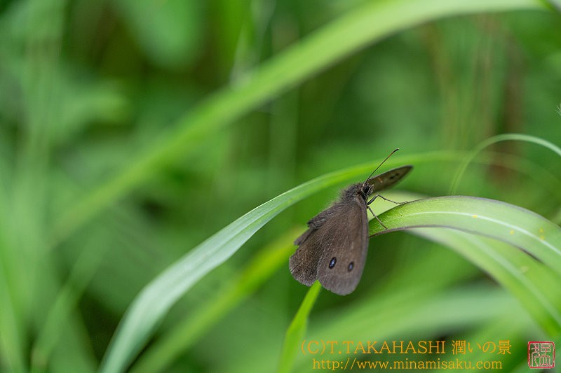 ../Images/7R240804 (137).jpg